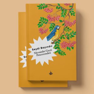 Mevsimler Geçti Penceremden - Seydi Bayındır